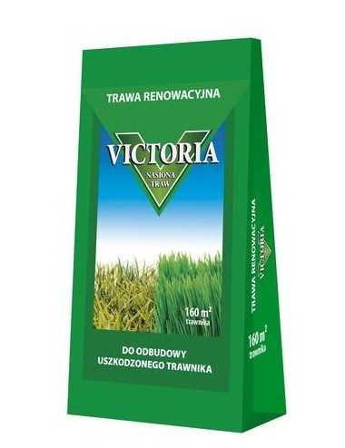 TRAWA VICTORIA RENOWACYJNA 4 kg DO ODBUDOWY USZKODZONEGO TRAWNIKA
