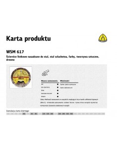 KLINGSPOR ŚCIERNICA LISTKOWA NASADZANA 125mm WSM617 gr. 80