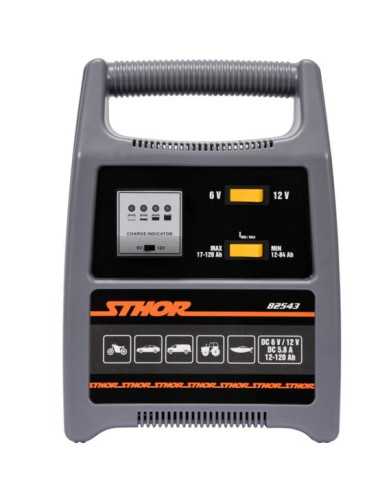 STHOR PROSTOWNIK 6 12V 8A 120Ah LED