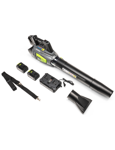 NAC DMUCHAWA DO LIŚCI AKUMULATOROWA 2x20V 4Ah