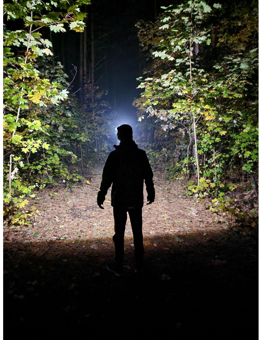 AWTOOLS BLACK LINE  LATARKA CZOŁOWA TINRAY COB + CREE LED 3xAAA