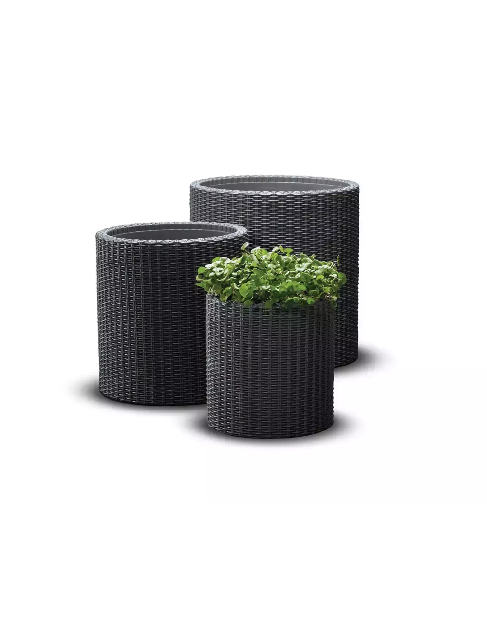 KETER ZESTAW 3 DONIC S+M+L BRĄZOWY