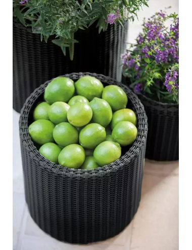 KETER ZESTAW 3 DONIC S+M+L ANTRACYT