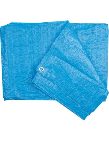 PLANDEKA NIEBIESKA 65g 5 x 6m