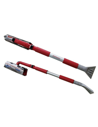 ZMIOTKO-SKROBAK VIOLA