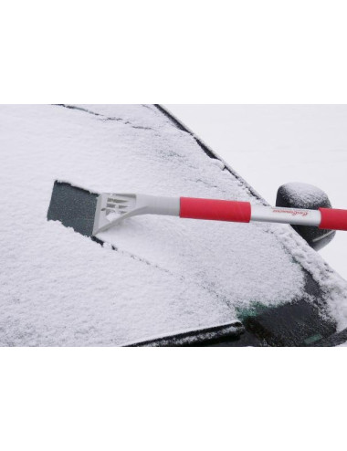 ZMIOTKO-SKROBAK VIOLA