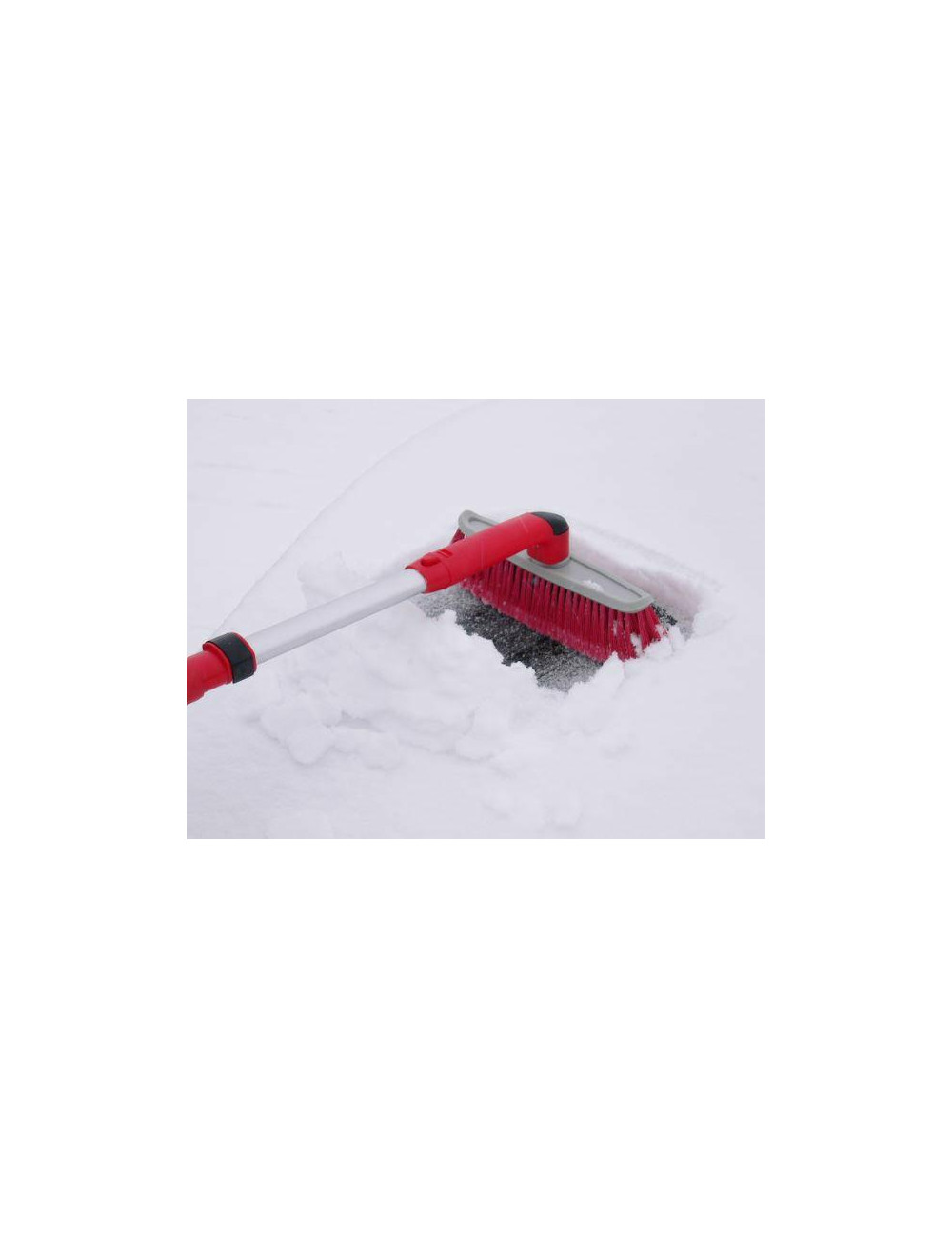 ZMIOTKO-SKROBAK VIOLA