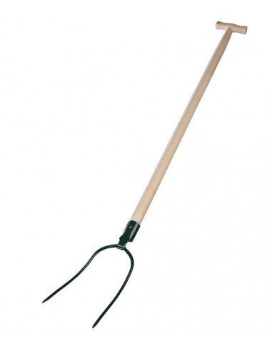 KARD WIDŁY 2-ZĘBY Z TRZONKIEM TYPU "T"