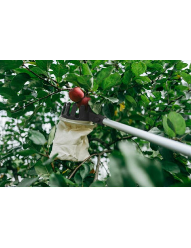 ZBIERAK DO OWOCÓW V-SERIES TELESKOPOWY TRZONEK 3,6m