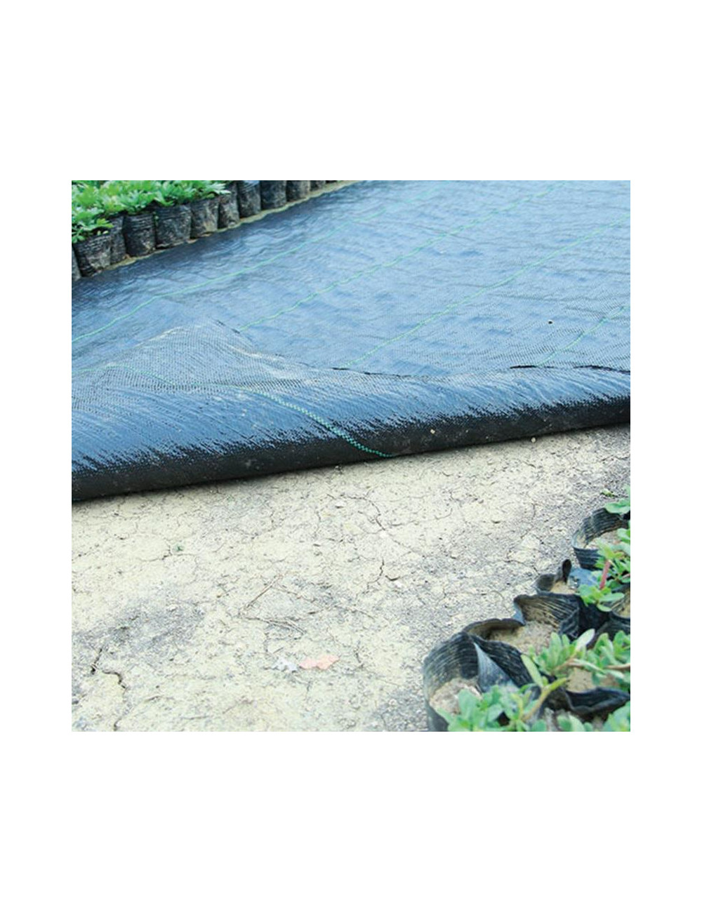 GREENMILL AGROWŁÓKNINA 1,0 x10m 100g m2 CZARNA