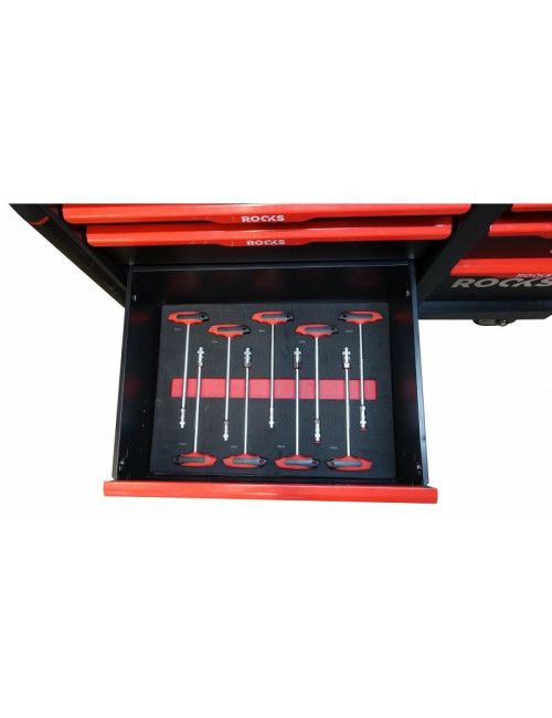 ROOKS SZAFKA WARSZ.+ 485szt.NARZ