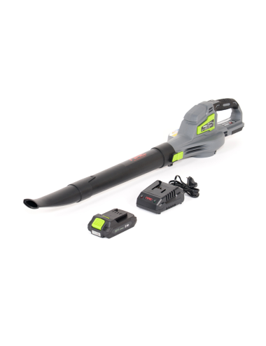 NAC DMUCHAWA AKUMULATOROWA 20V 1x2Ah