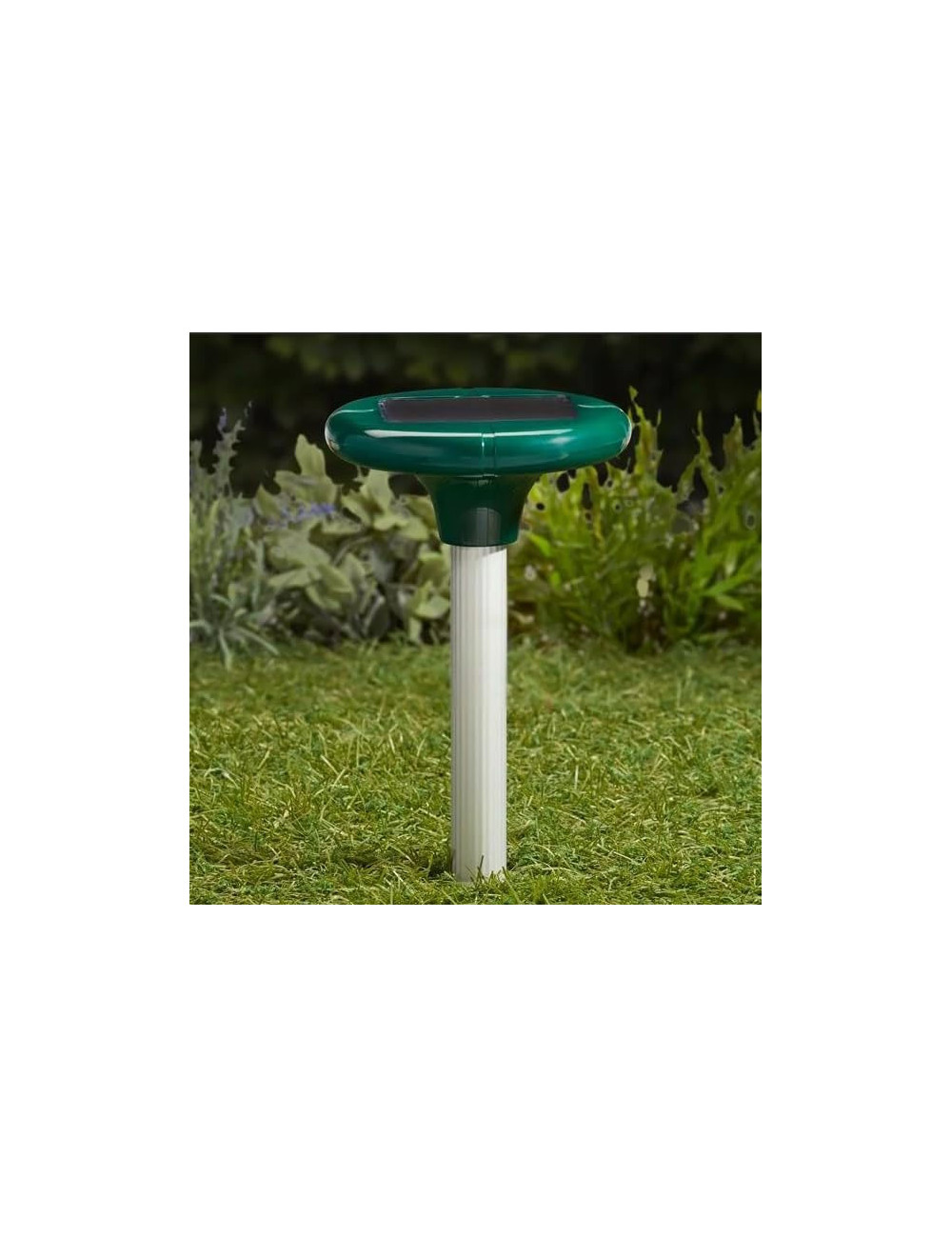 VOLTENO LAMPKA SOLARNA ODSTRASZACZ ANTY GRYZOŃ KRET BIG