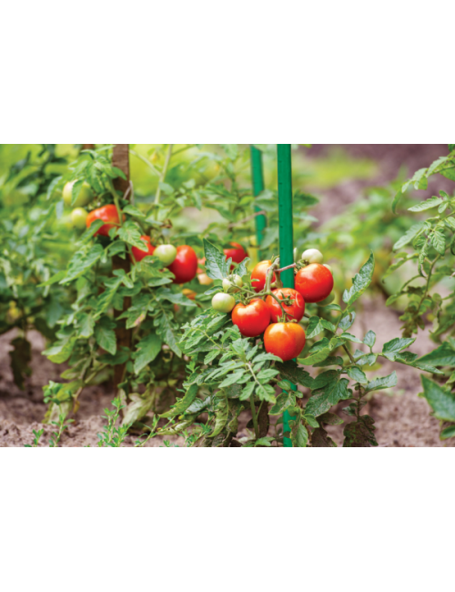 TYCZKA OGRODOWA STALOWA 8mm x 90cm 10szt.