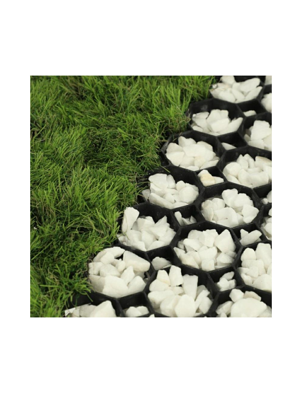 KRATKA OGRODOWA CZARNA 40mm 60cm x 60cm MULTI GRID