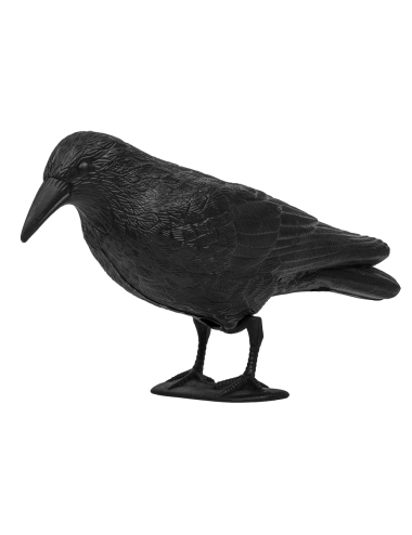 ODSTRASZACZ PTAKÓW KRUK