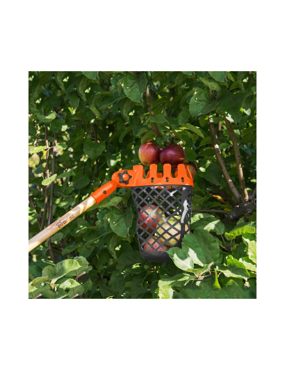 ZBIERAK DO OWOCÓW V-SERIES GUMOWY BEZ TRZONKA