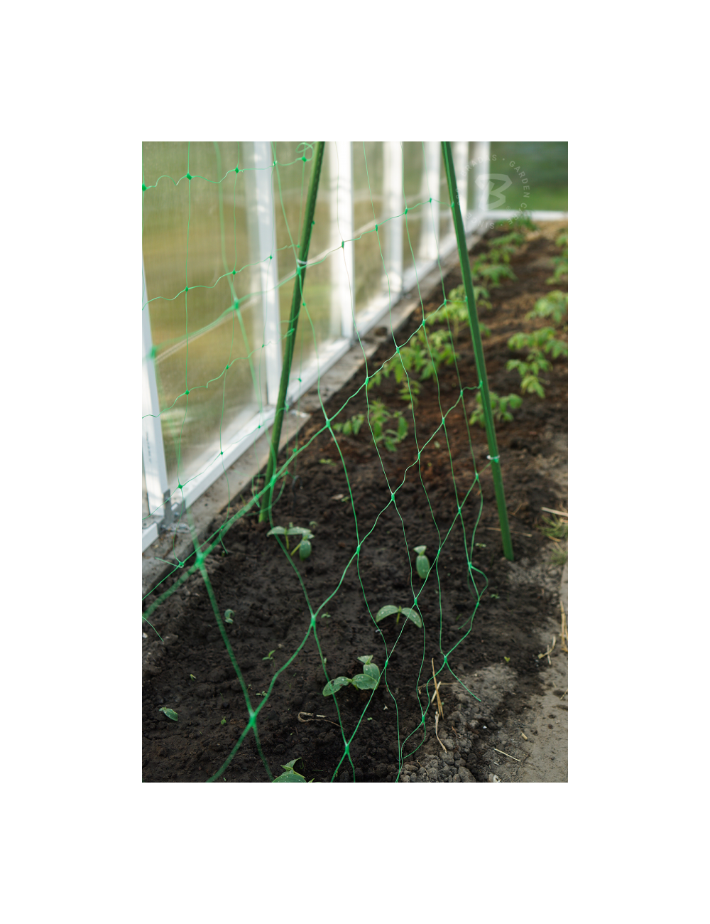 SIATKA PODPORA DO ROŚLIN PNĄCYCH PLANT NET 2x10m