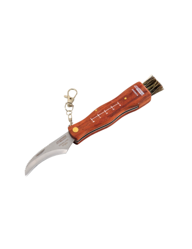 AWTOOLS NÓŻ GRZYBIARZA/ UCHWYT DREWNIANY 210mm