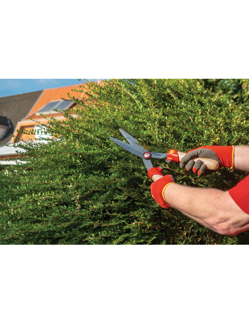 WOLF GARTEN NOŻYCE DO BUKSZPANU HS-BW