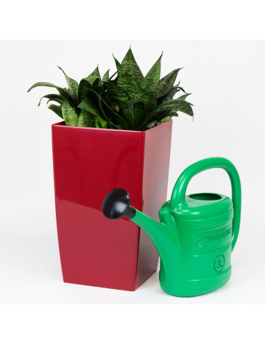PP.KONEWKA SPRING 3l ZIELONA .